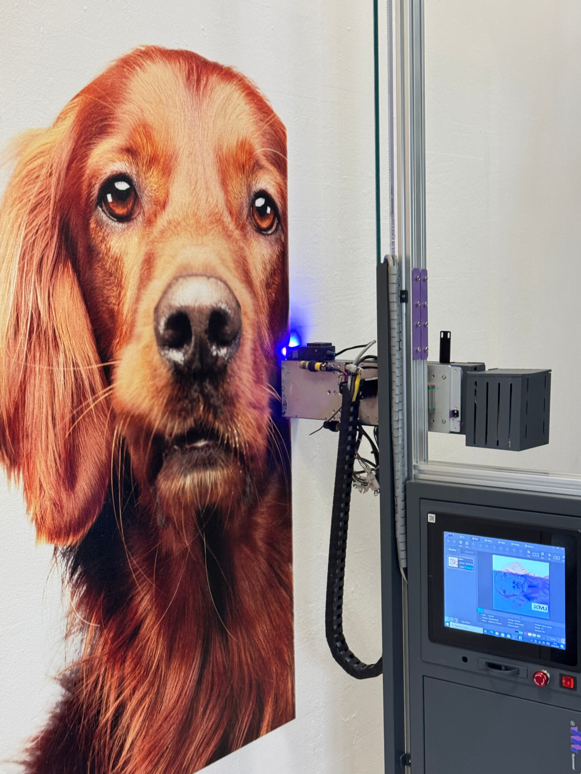 eea7b077-756c-4024-9aa4-72d09ad05ee0